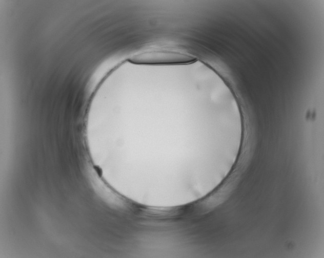X0000113071344200910091158