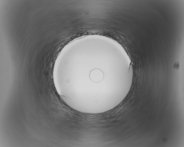 X0000113071345200910091157