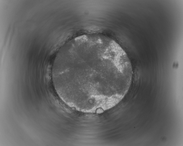 X0000113071346200910091157