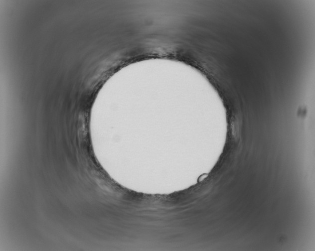 X0000113071347200910091157