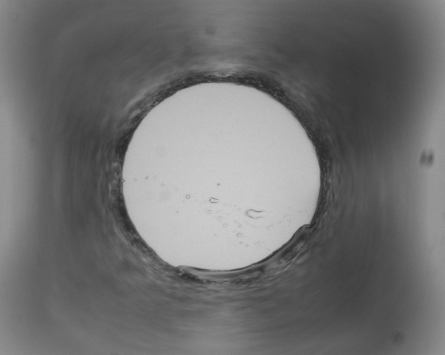 X0000113071349200910091157