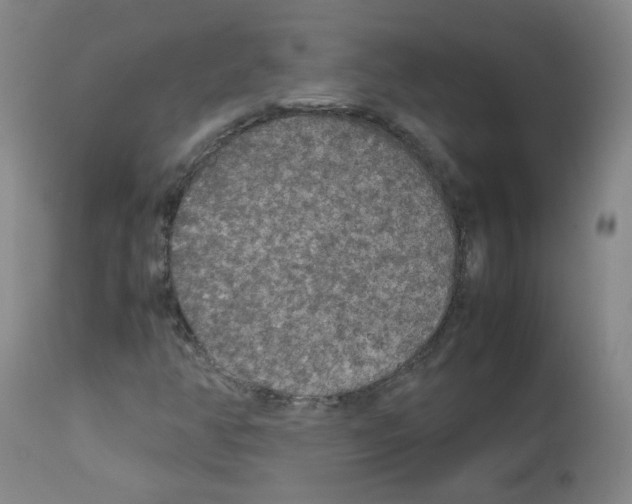 X0000113071350200910091157
