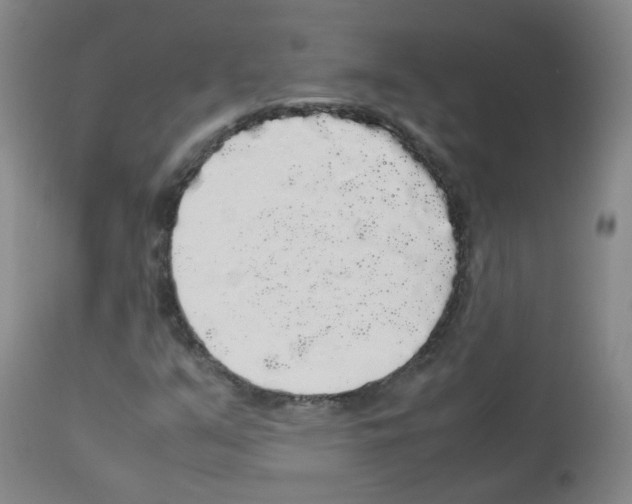X0000113071351200910091157