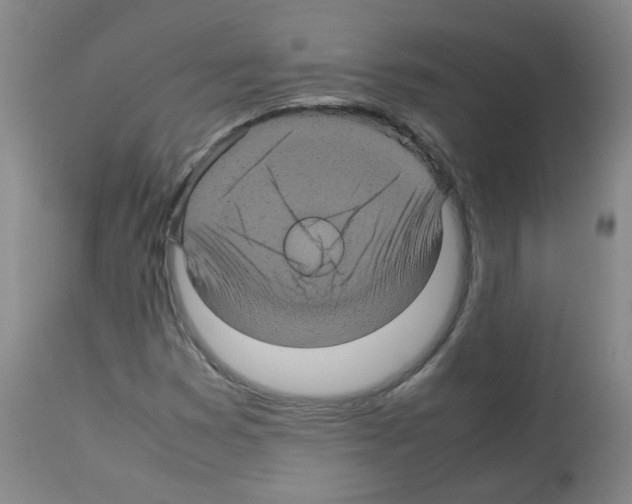 X0000113071353200910091157