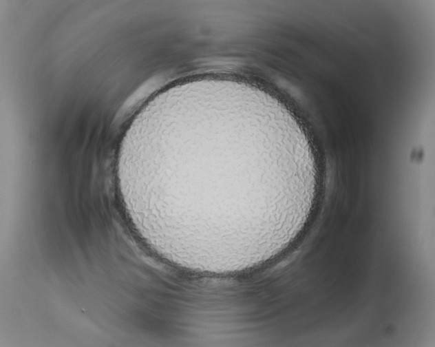 X0000113071354200910091157