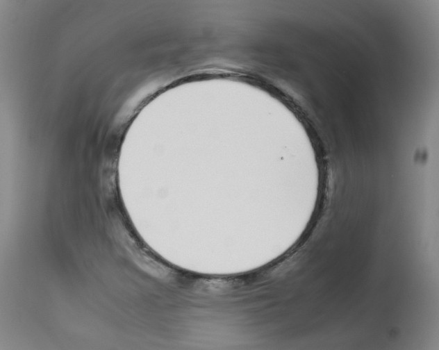 X0000113071355200910091157