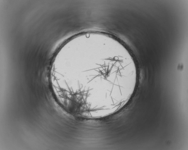 X0000113071356200910091157