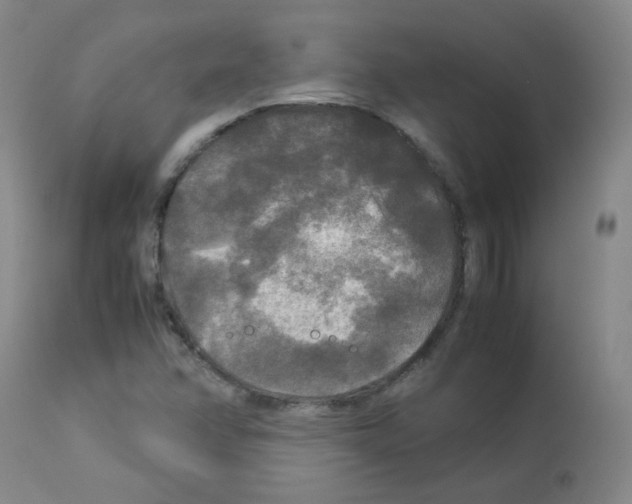 X0000113071358200910091157
