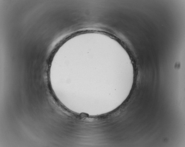 X0000113071360200910091157