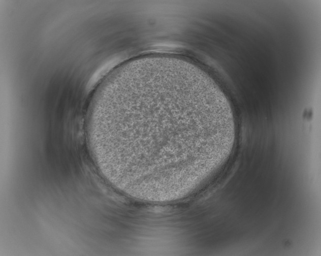 X0000113071362200910091157