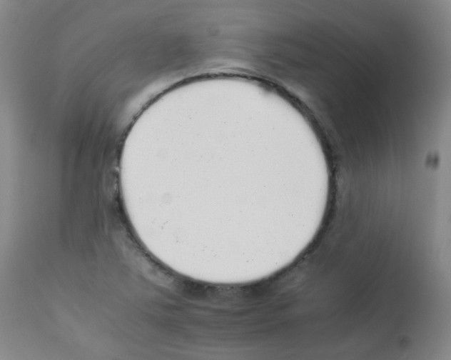 X0000113071363200910091157