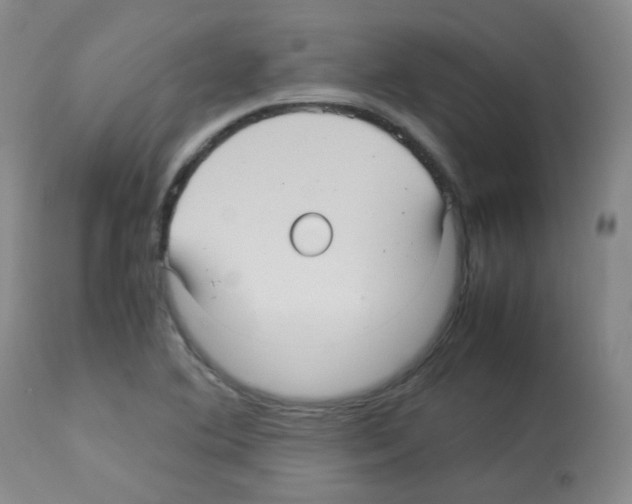 X0000113071364200910091157