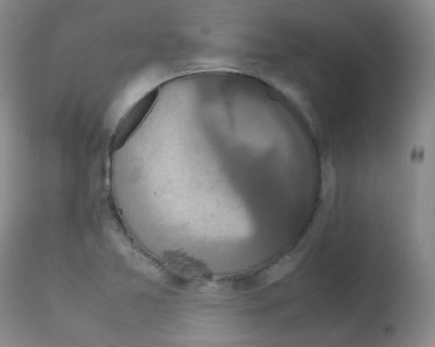 X0000113071365200910091157
