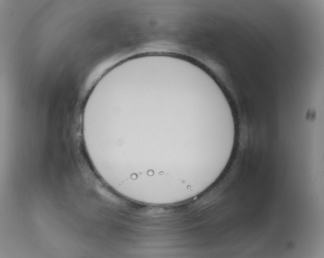 X0000113071366200910091157
