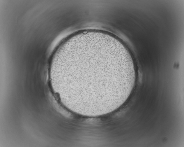 X0000113071368200910091157