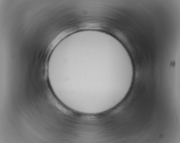 X0000113071370200910091157
