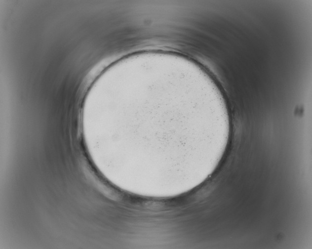 X0000113071371200910091157