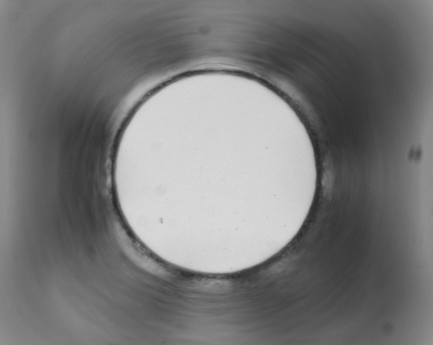 X0000113071372200910091157