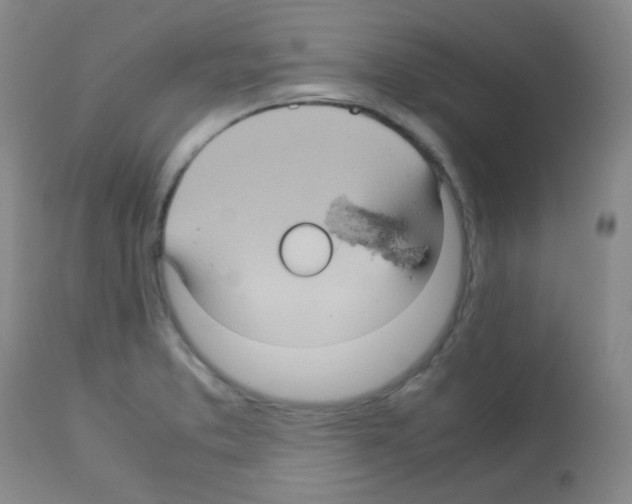 X0000113071373200910091157