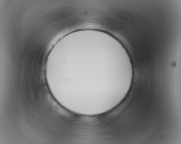 X0000113071374200910091157