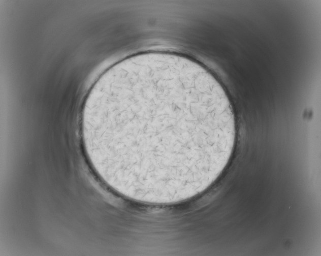X0000113071375200910091157