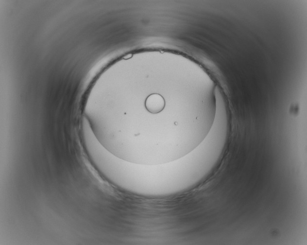 X0000113071376200910091157