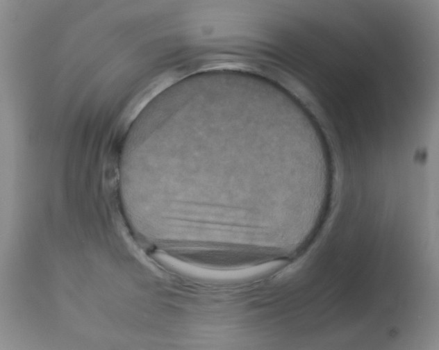 X0000113071377200910091157