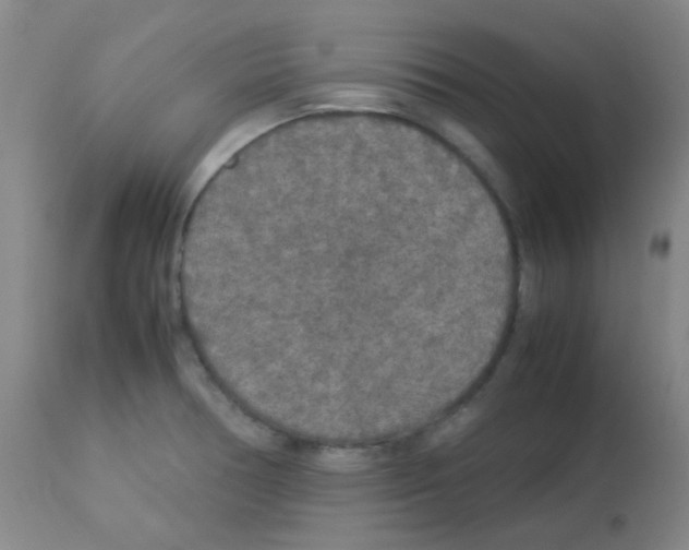 X0000113071378200910091157