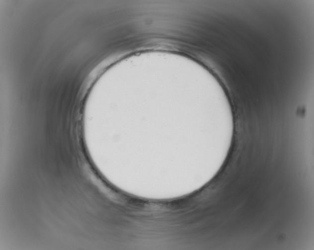 X0000113071379200910091157