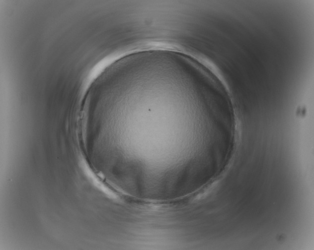 X0000113071381200910091157