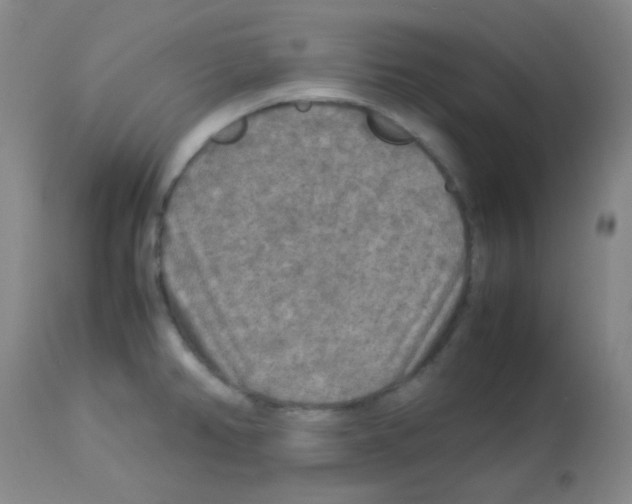 X0000113071382200910091157