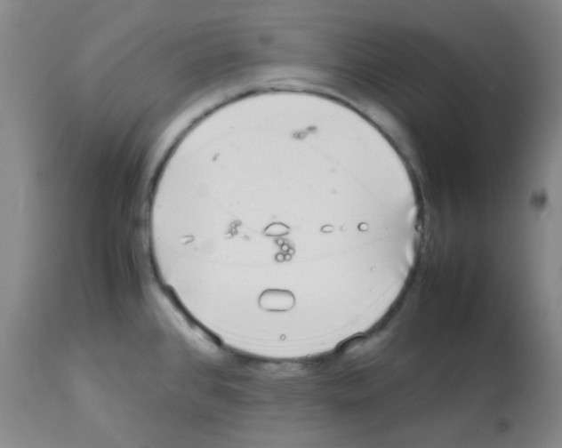 X0000113071384200910091157