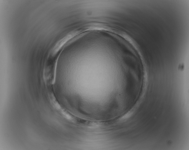 X0000113071385200910091157