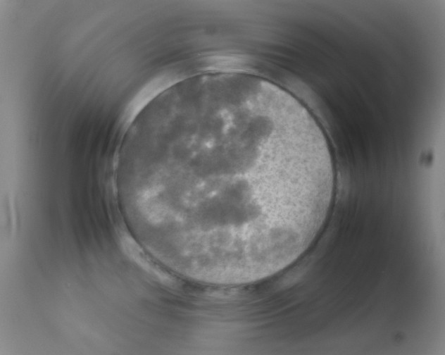 X0000113071386200910091157
