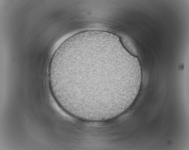 X0000113071387200910091157