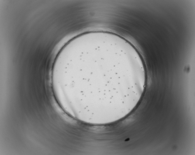 X0000113071388200910091157