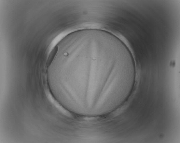 X0000113071389200910091157