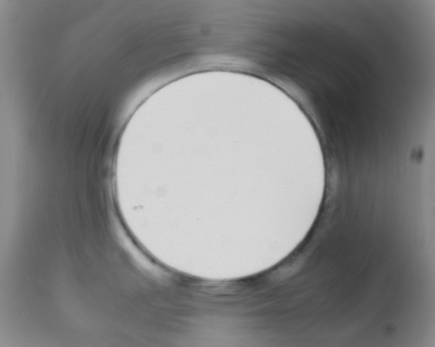 X0000113071391200910091157