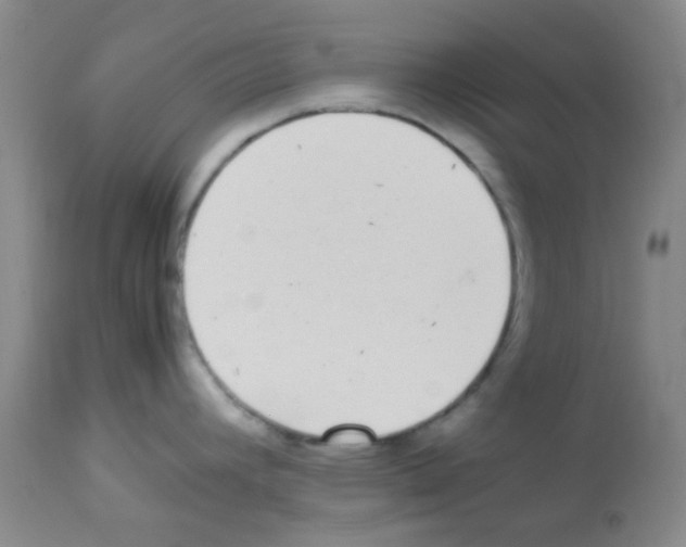 X0000113071392200910091157