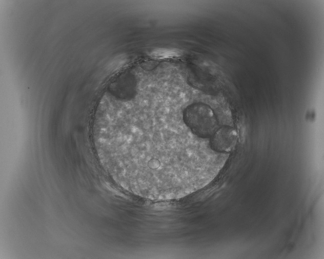 X0000113071393200910091156