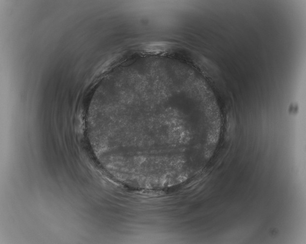 X0000113071394200910091156
