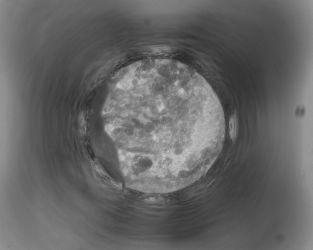 X0000113071395200910091156