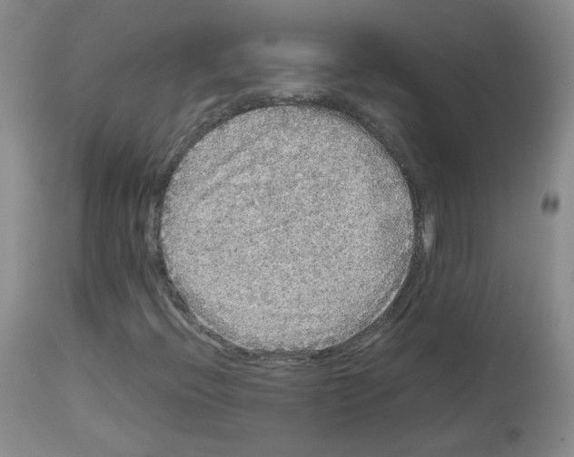 X0000113071396200910091156