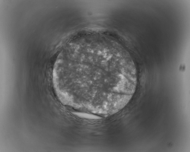 X0000113071397200910091156