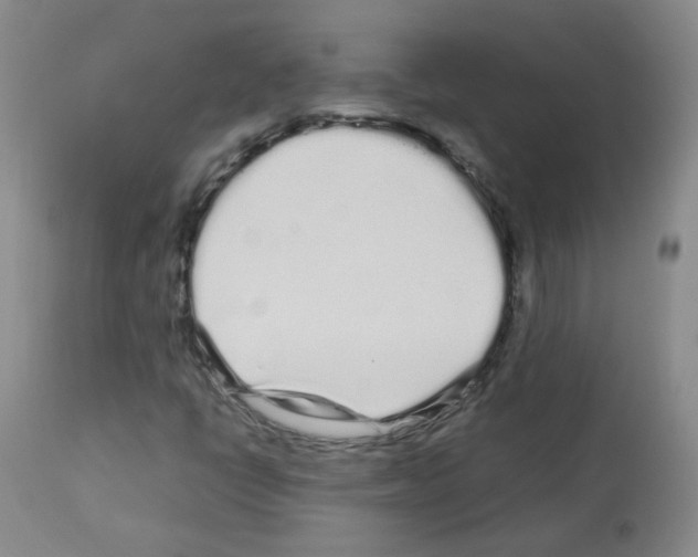 X0000113071398200910091156
