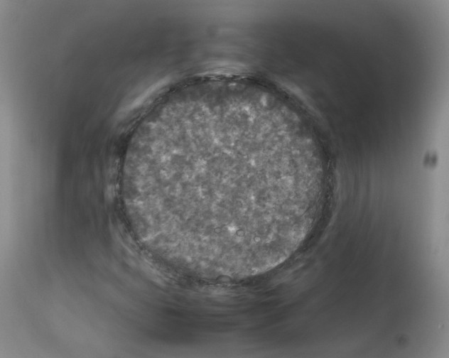 X0000113071399200910091156