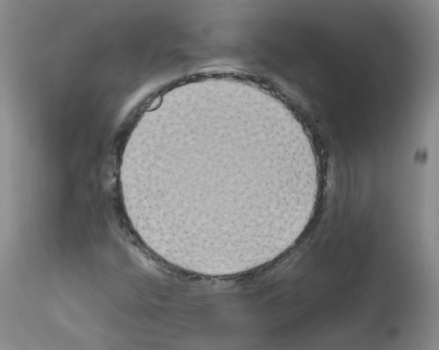 X0000113071400200910091156