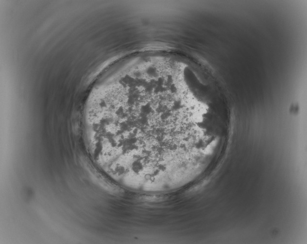 X0000113071401200910091156