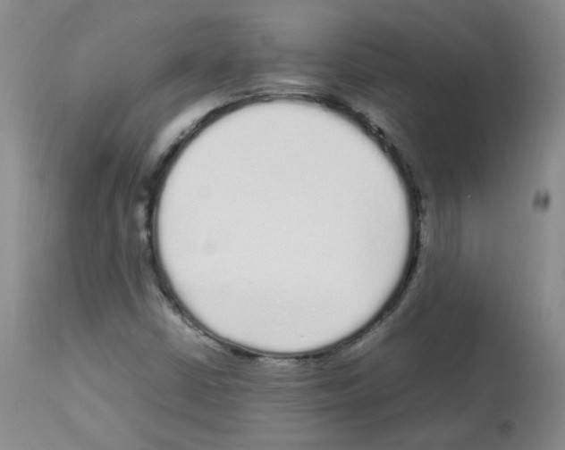 X0000113071402200910091156