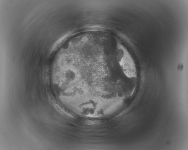 X0000113071403200910091156
